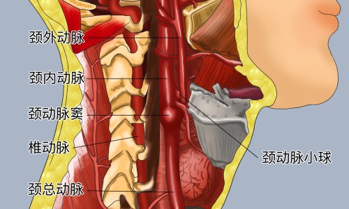 氢气泡脚的功效和作用-氢气泡功效网 | 氢汽水有什么作用,氢气泡脚的功效和作用