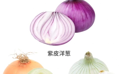 氢气泡功效网 | 氢汽水有什么作用,氢气泡脚的功效和作用